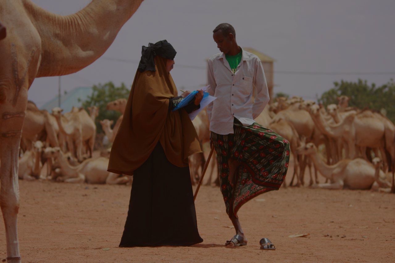 Pdrc Puntland Development And Research Center